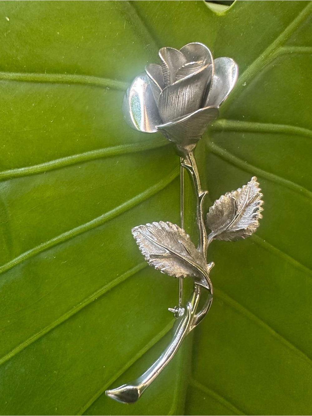 Pastelli Silver Rose w/stem Brooch